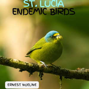 St Lucia Endemic Birds